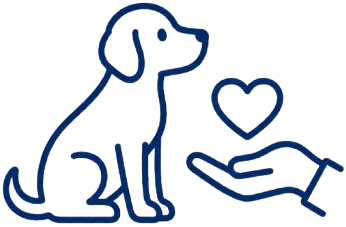 Behaviour Support
